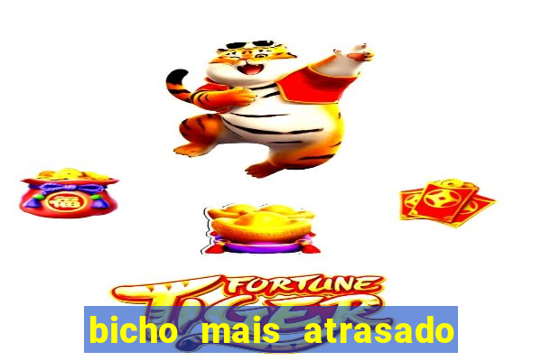 bicho mais atrasado na bahia